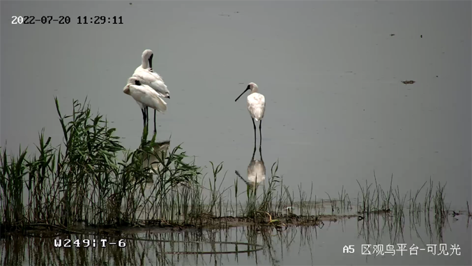 海康威視發布2022年ESG報告：科技為善，助力可持續的美好未來