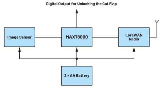 卷積神經網絡的硬件轉換：什么是機器學習？——第三部分